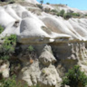 Meet your Posher, Leanne